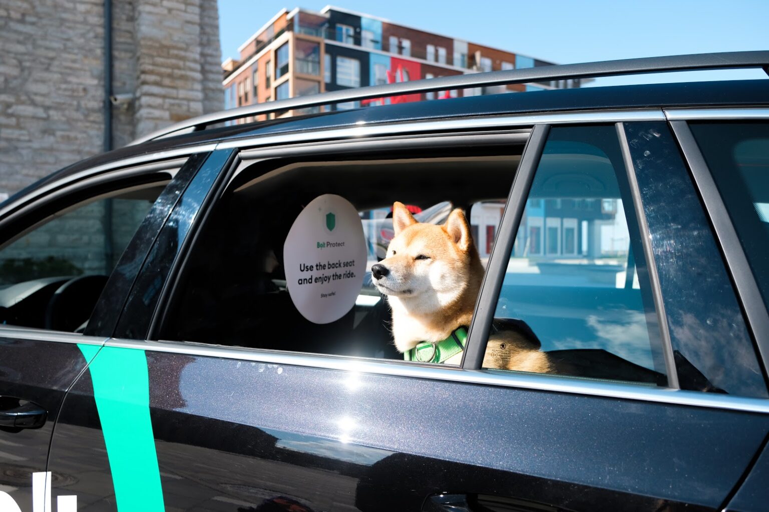 Lättare att boka taxi med hund Brukshunden