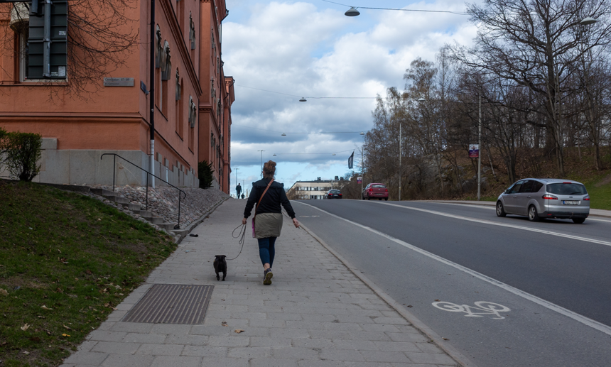 Många hundägare väljer bort semesterresor