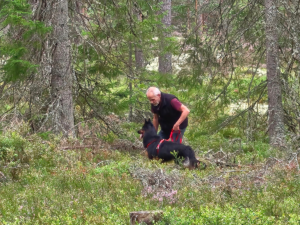 Full fart på chodský pes sommarläger