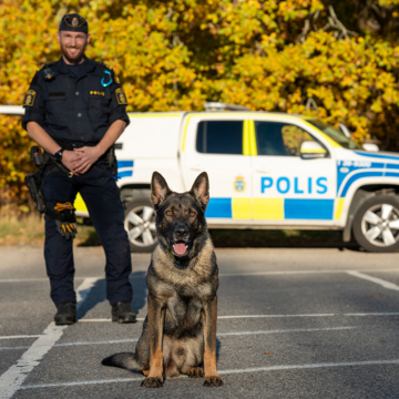 Hank är Årets polishund 2024