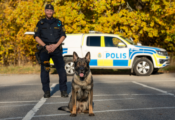 Hank är Årets polishund 2024