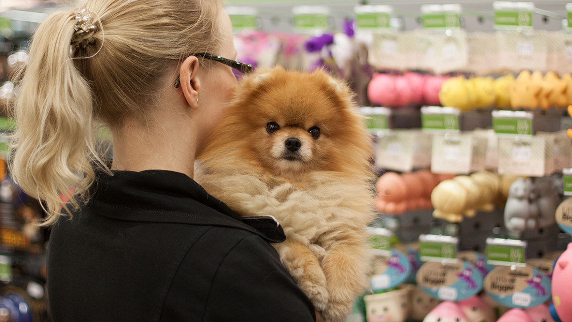 Djursjukvård i butik och ambulerande veterinärtjänster