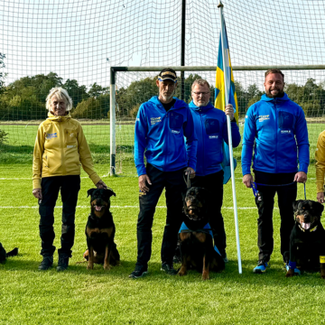 Svenska framgångar på Rottweiler VM