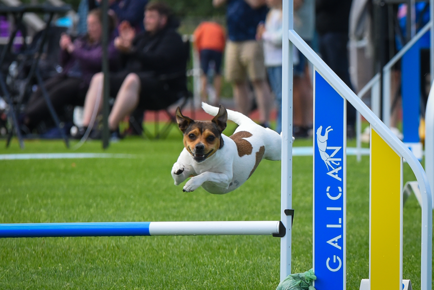 Agility-SM till Jönköping 2026